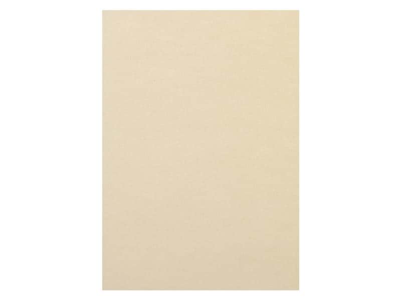 Rainbow Papier pour photocopie Rainbow 120 g/m² A4, Hellchamois