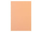 Rainbow Papier pour photocopie Rainbow 120 g/m² A4, Saumon