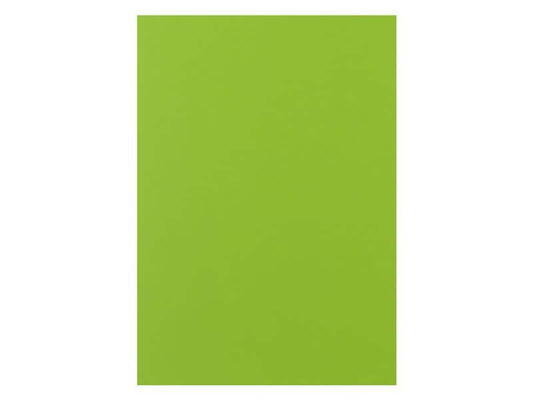 Rainbow Papier pour photocopie Rainbow 160 g/m² A4, Vert brillant
