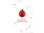 ABC Carte de félicitations Coccinelle B6
