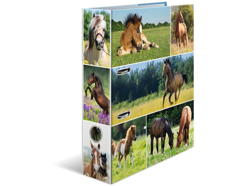 HERMA Dossier Prairie pour chevaux 7 cm, Multicolore