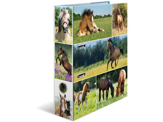 HERMA Dossier Prairie pour chevaux 7 cm, Multicolore