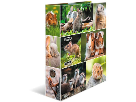 HERMA Dossier Rongeurs 7 cm, Multicolore