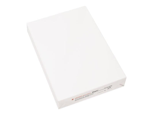 Fischer Papier Papier pour photocopie A4, Blanc, 80 g/m², 2500 Feuille