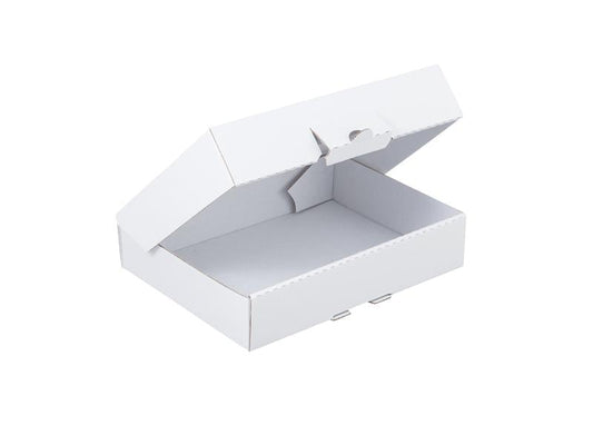 Brieger Carton d’expédition Boîte à clapet 22 x 15.5 x 4.5 cm