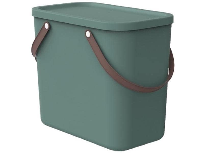 Rotho Boîte de rangement Albula 25 l, Vert Mistletoe