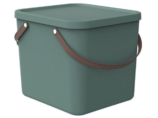 Rotho Boîte de rangement Albula 40 l, vert Mistletoe