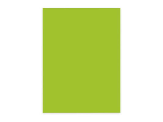 ELCO Papier pour photocopie Color A4, Vert, 80 g/m²,100 Blatt