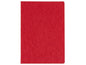 office focus Cahier d'école FSC A4, À carreaux, Rouge