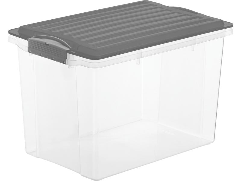 Rotho Boîte de rangement Compact A4 / 19 litres anthracite