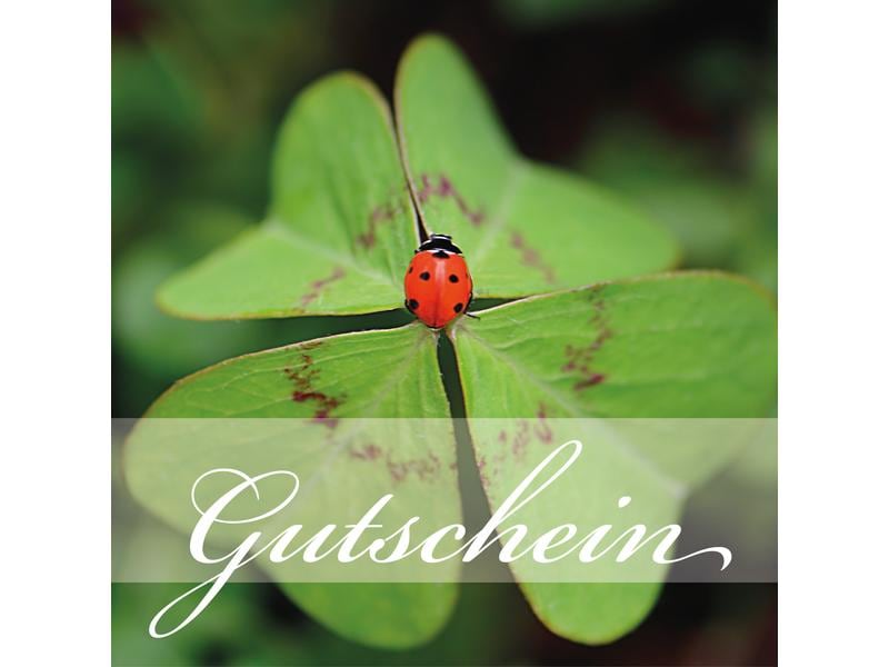 Natur Verlag Carte de bons Coccinelle 14.5 x 14.5 cm, 6 pièces