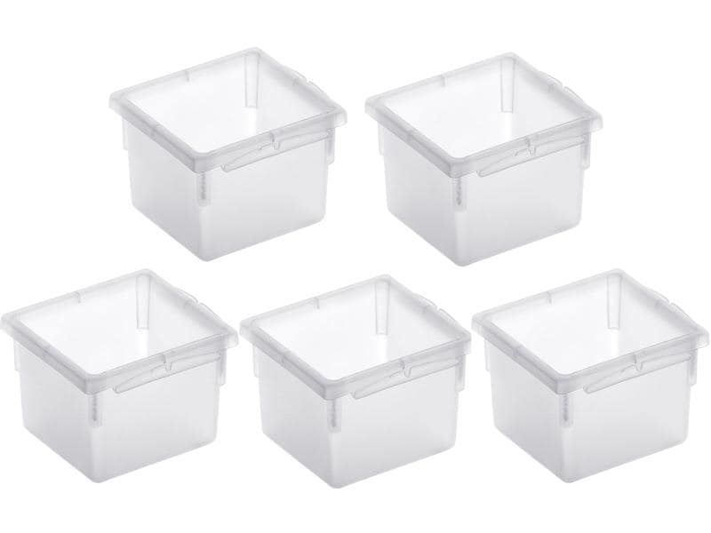 Rotho Systèmes de classement Basic 5, pièce, 8 x 8 cm Transparent