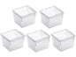 Rotho Systèmes de classement Basic 5, pièce, 8 x 8 cm Transparent