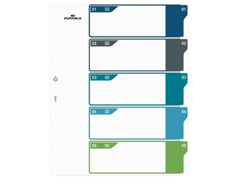 DURABLE Registre A4+, 1-5, 5 couleurs
