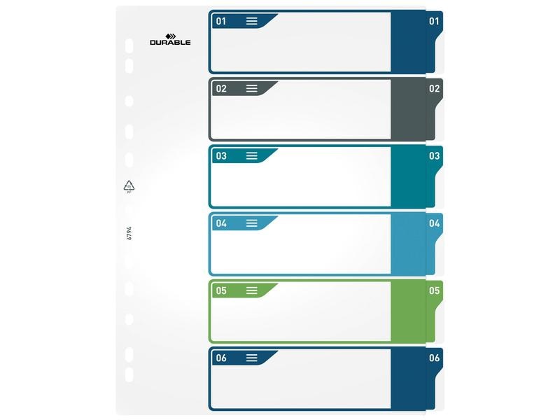 DURABLE Registre A4+, 1-6, 5 couleurs