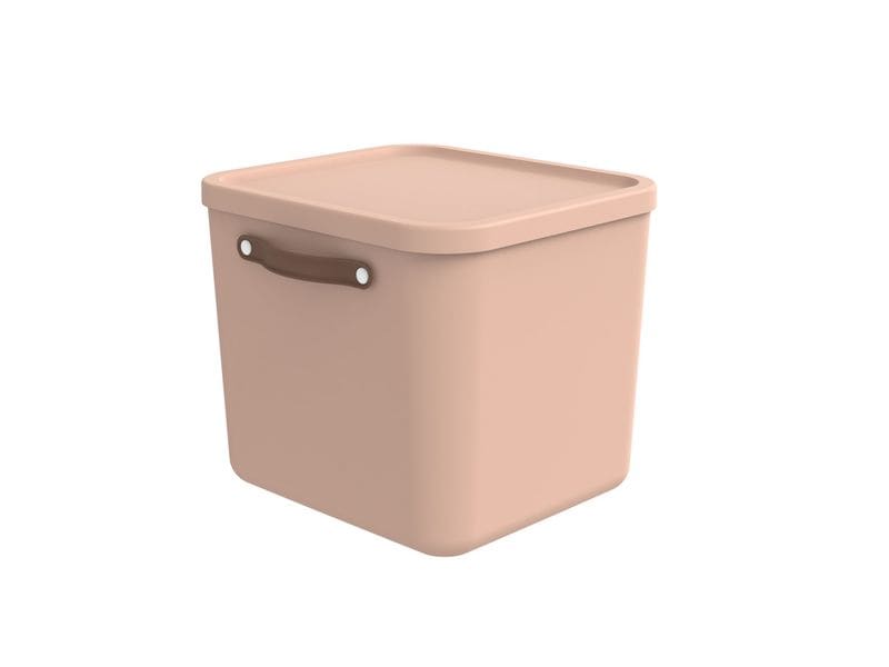 Rotho Boîte de rangement Maloja 40 l, Meadow Rose