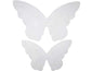 Creativ Company Ailes de papillon 20 pièces, Transparent