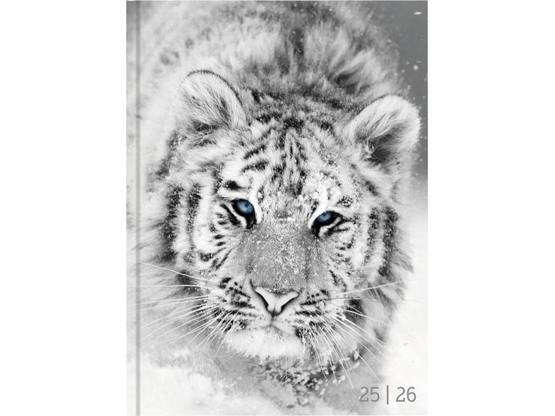 Biella Agenda des élèves Mydiary 25/26 FSC, 1T/1S, 12 x 16.5 cm