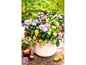 ABC Carte de vœux bouquet de fleurs 12.5 x 17.6 cm