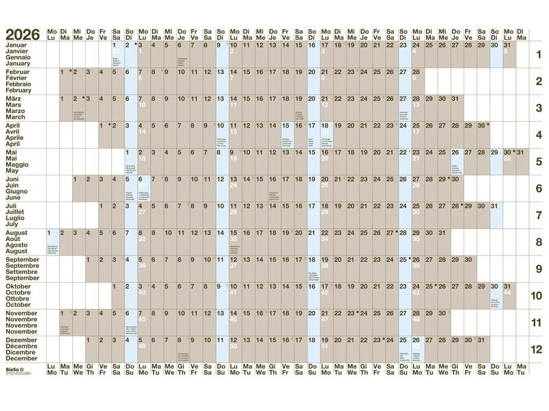 Biella Calendrier Planning annuel mural 69.5 x 46 cm