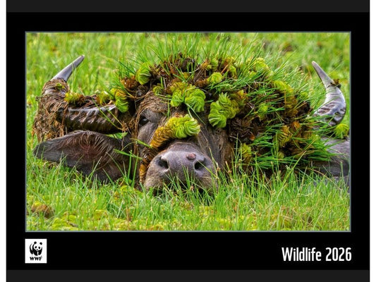 Calendaria Calendrier illustré 2025 WWF Wildlife