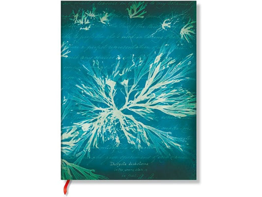 Paperblanks Bloc-notes Fleurs de mer 17,5 x 22,5 cm, À lignes