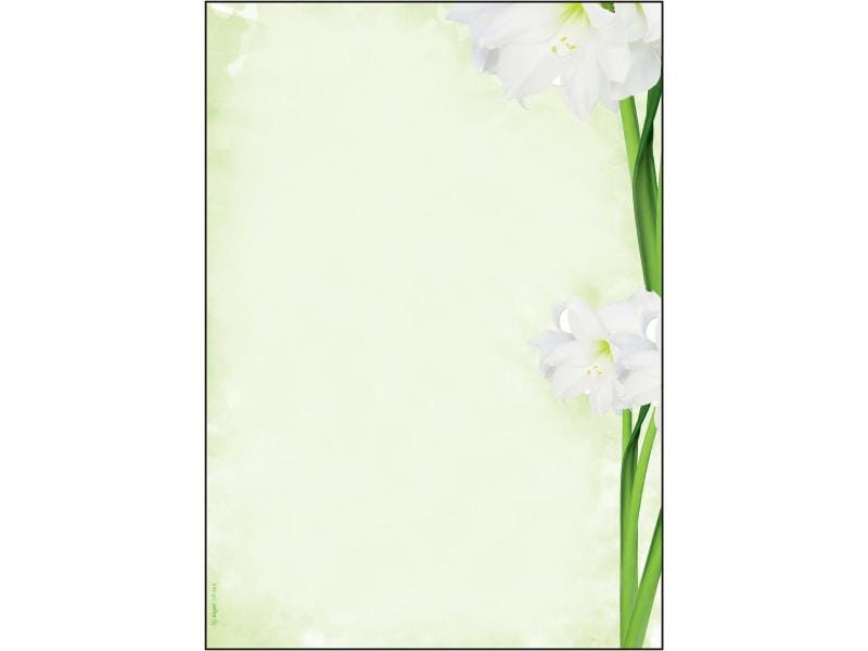 Sigel Papier à motif Green Flower A4, 25 feuilles