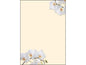 Sigel Papier à motif White Orchid A4, 50 feuilles
