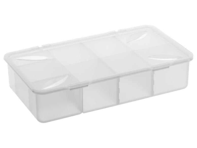 Rotho Boîte de rangement Snappy 3 l Transparent