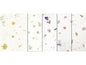 URSUS Papier de bricolage Botanica 23 x 33 cm, 35 g/m², 5 feuilles