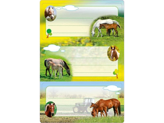 Herma Stickers Étiquettes scolaires Pferde
