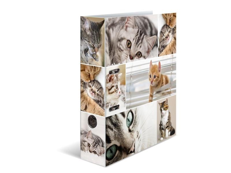 HERMA Dossier Katzen 7 cm, Mehrfarbig