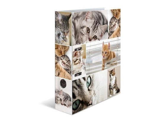 HERMA Dossier Katzen 7 cm, Mehrfarbig